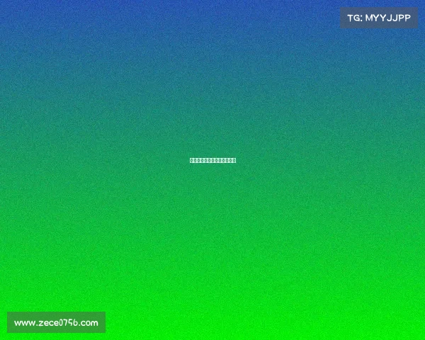 赛事技术代表会—赛事委员会 赛事技术代表会—赛事委员会